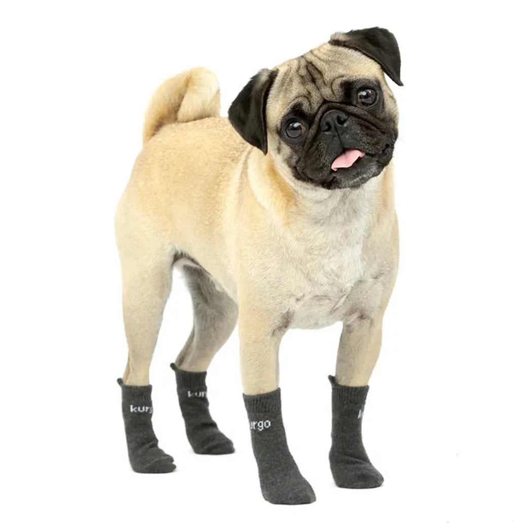 Kurgo Blaze Dog Socks-Pets - Apparel-Kurgo-Appalachian Outfitters