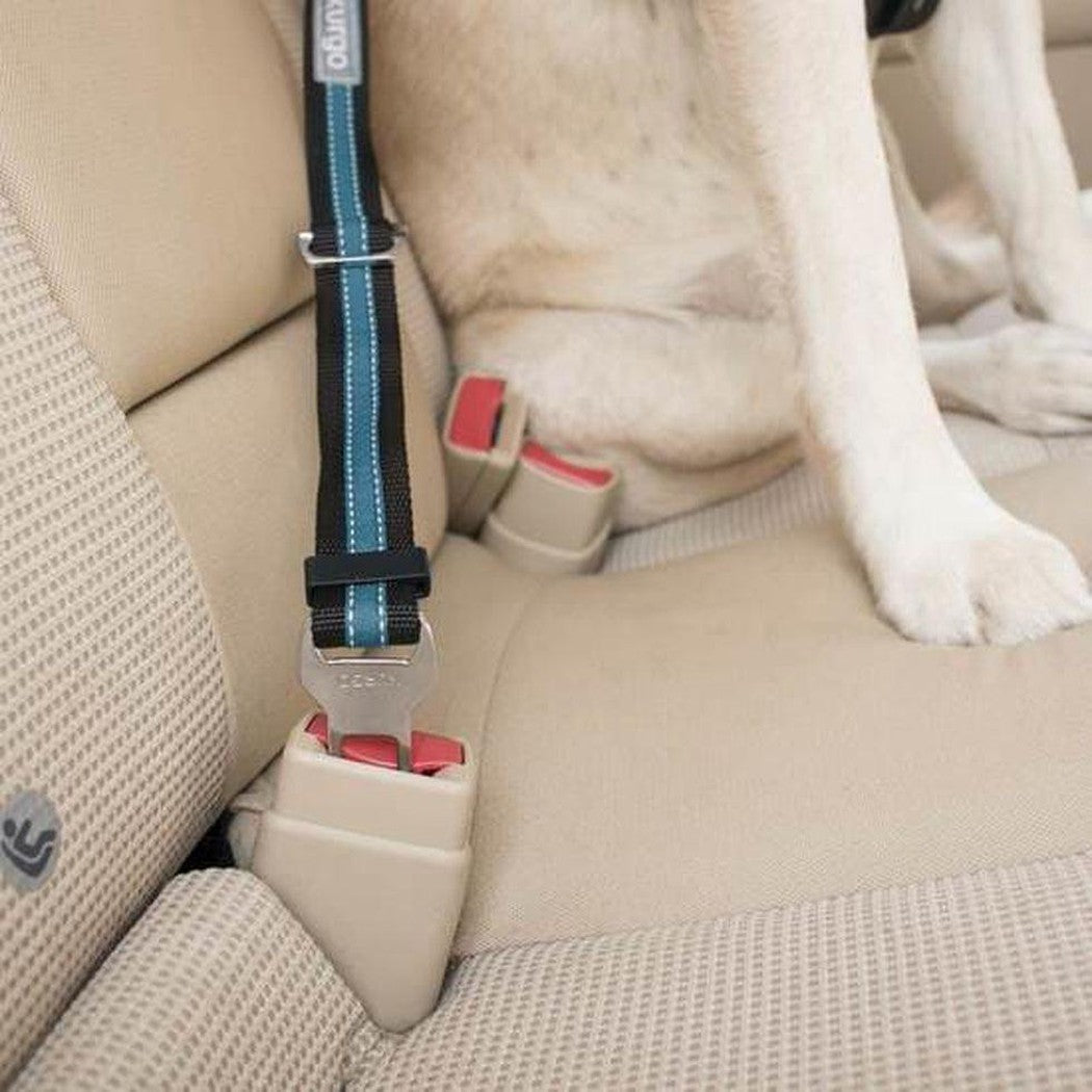 Kurgo Direct to Seatbelt Tether Outdoor Dogs