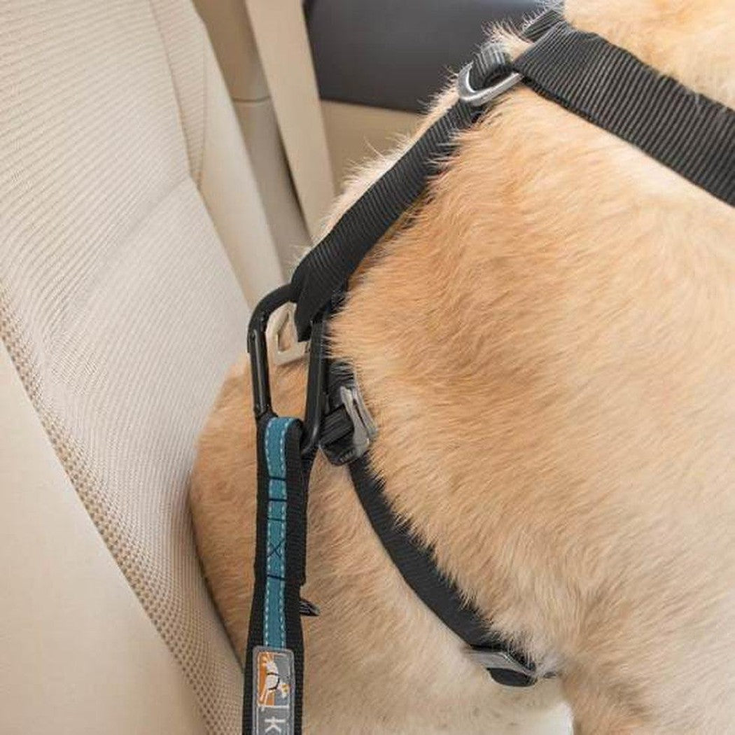 Kurgo Direct to Seatbelt Tether Outdoor Dogs