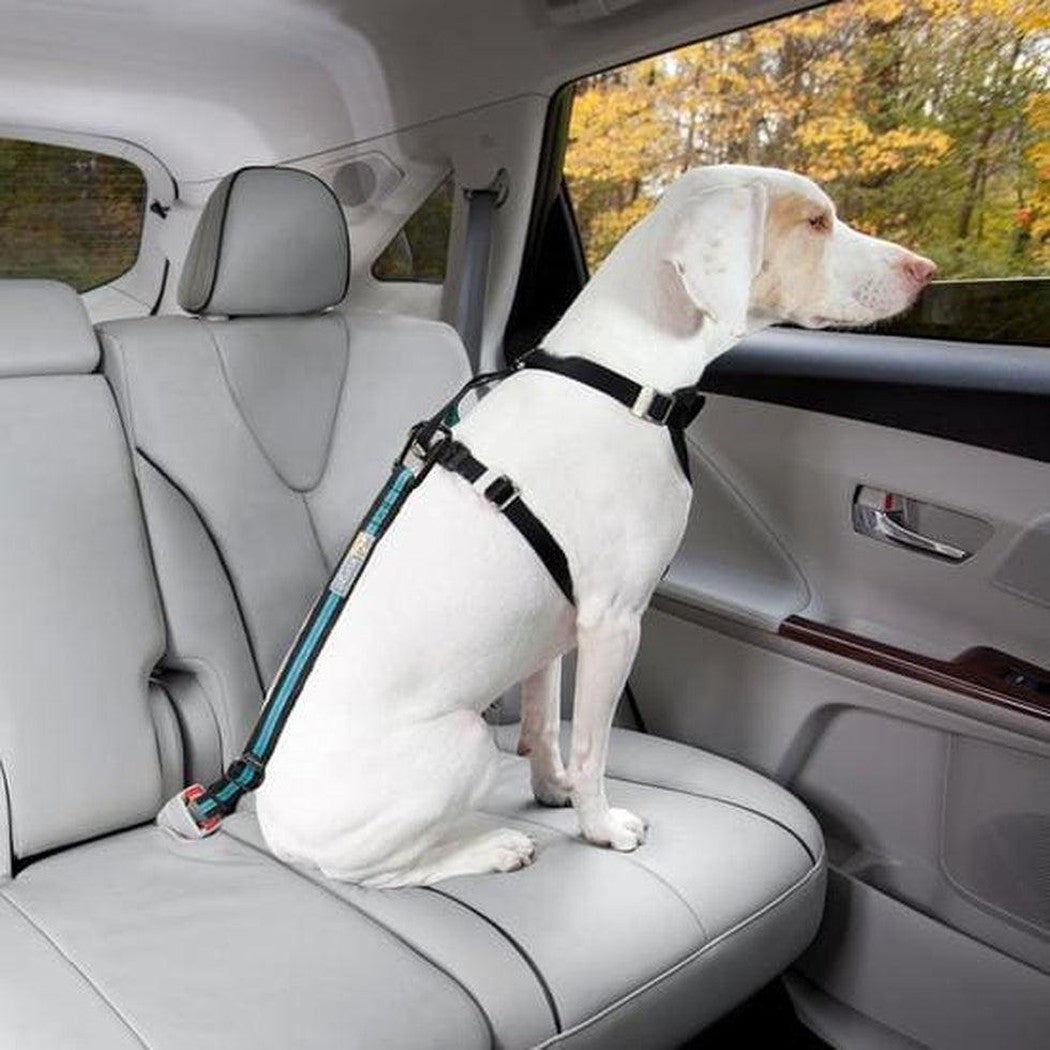 Kurgo Direct to Seatbelt Tether Outdoor Dogs