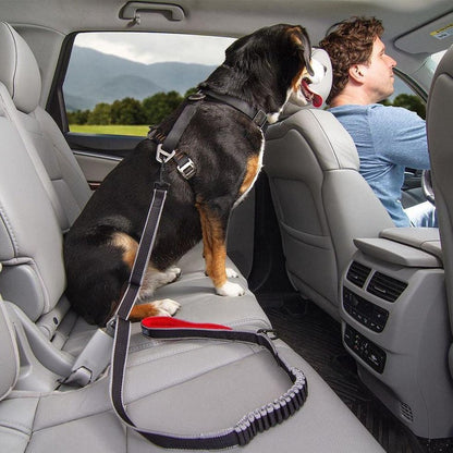 Kurgo Leash to Seatbelt Buckle Outdoor Dogs