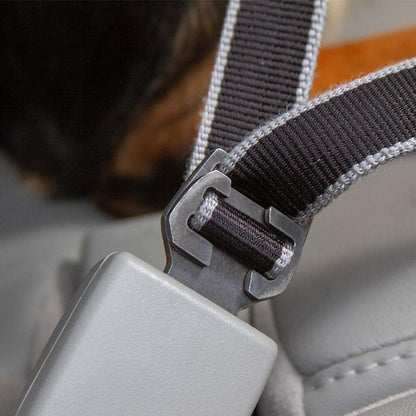 Kurgo Leash to Seatbelt Buckle Outdoor Dogs