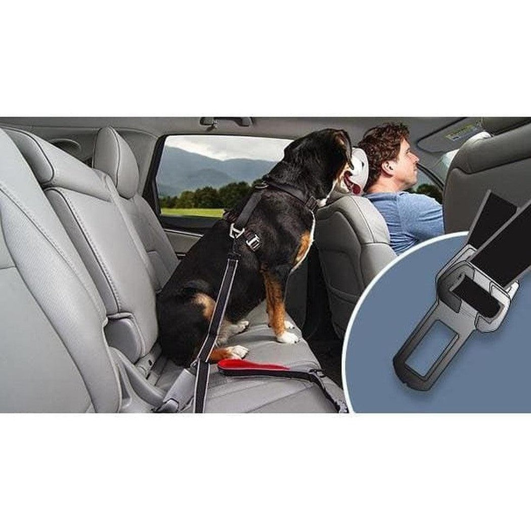 Kurgo Leash to Seatbelt Buckle Outdoor Dogs