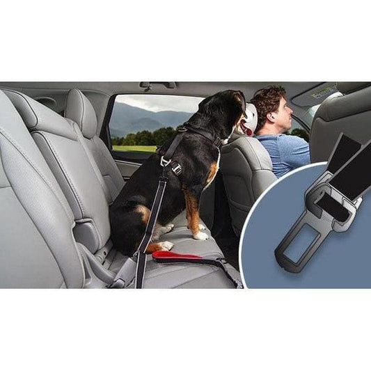 Kurgo Leash to Seatbelt Buckle Outdoor Dogs