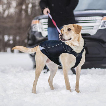 Kurgo North Country Coat Outdoor Dogs