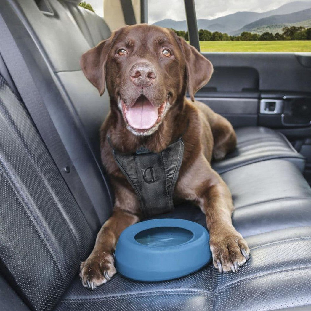 Kurgo Splash Free Wander Bowl Coastal Blue Outdoor Dogs