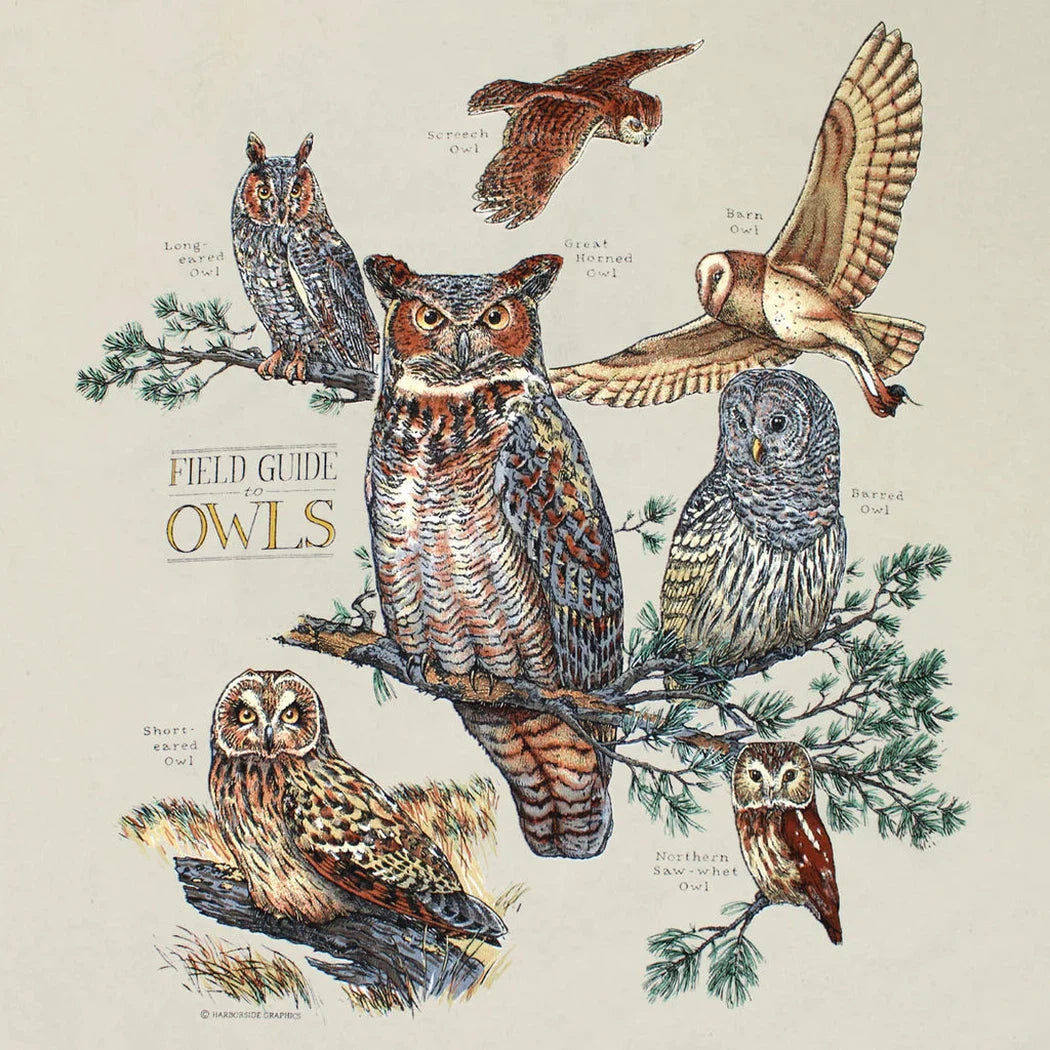 Liberty Graphics Field Guide To Owls Short Sleeve T-Unisex - Clothing - Tops-Liberty Graphics-Appalachian Outfitters