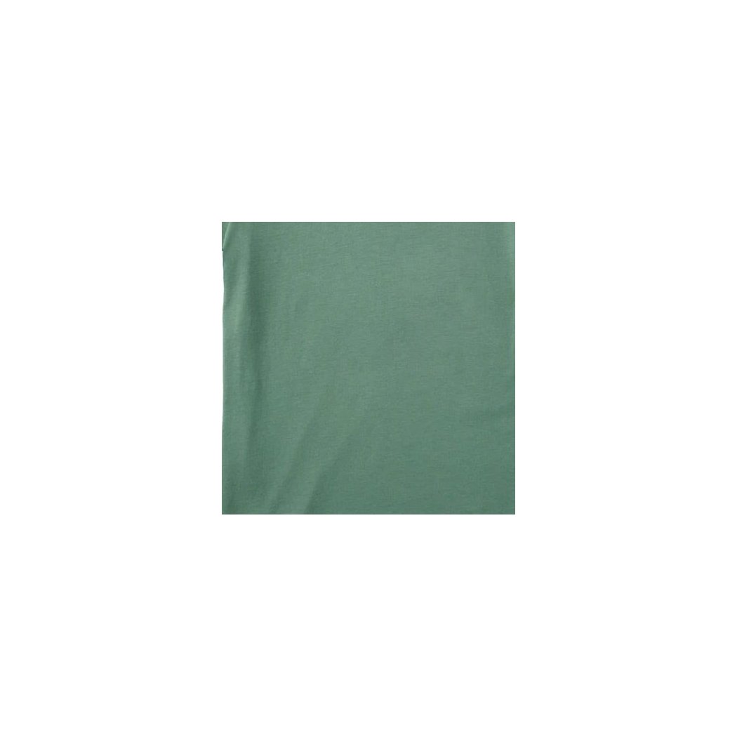 A flat lay photo of the Life is Good Men's Anatomy of a Best Friend Short Sleeve in Granite Green against a white background.