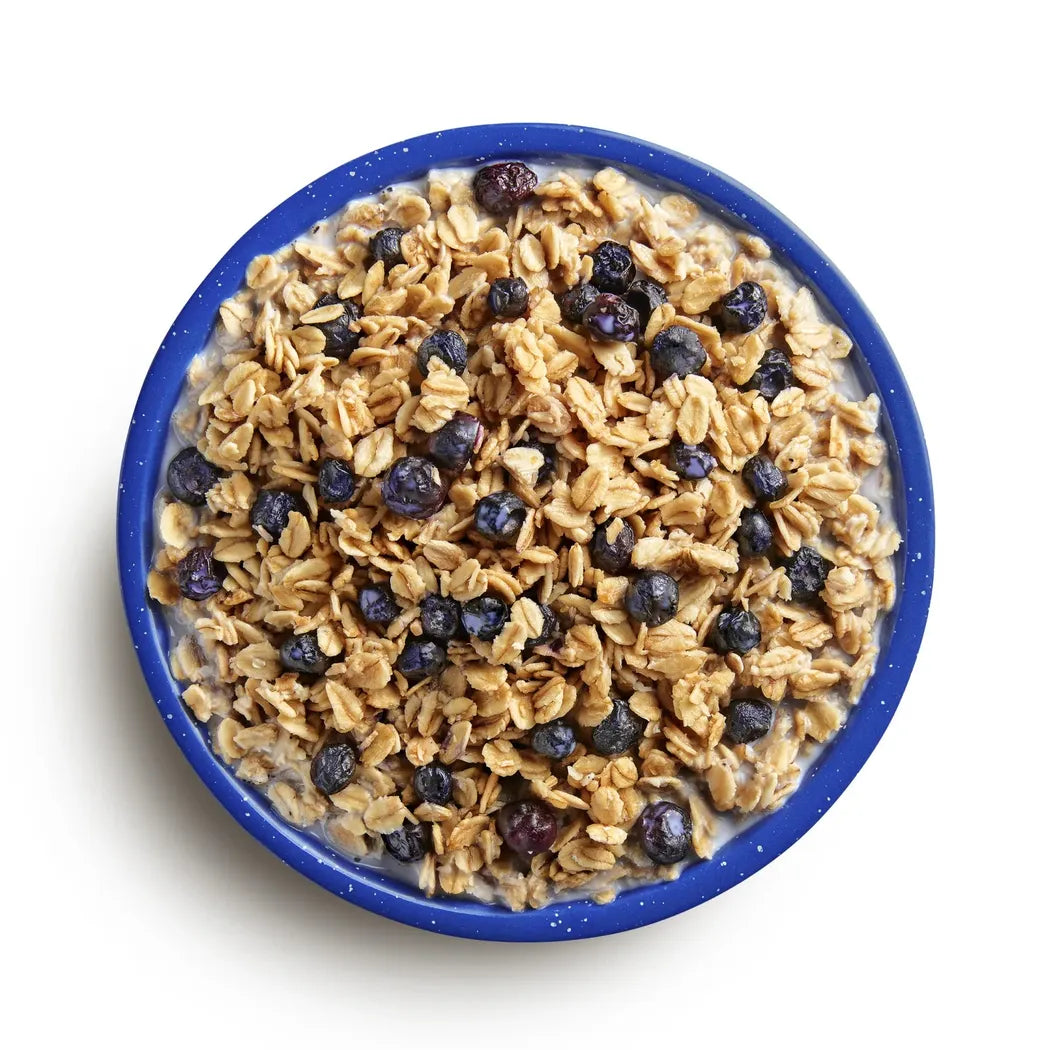 Mountain House Granola with Milk & Blueberries-Food - Backpacking-Mountain House-Appalachian Outfitters
