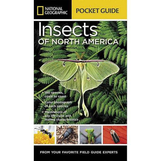National Geographic Pocket Guide Insects of N.A.-Books - Books-National Geographic-Appalachian Outfitters