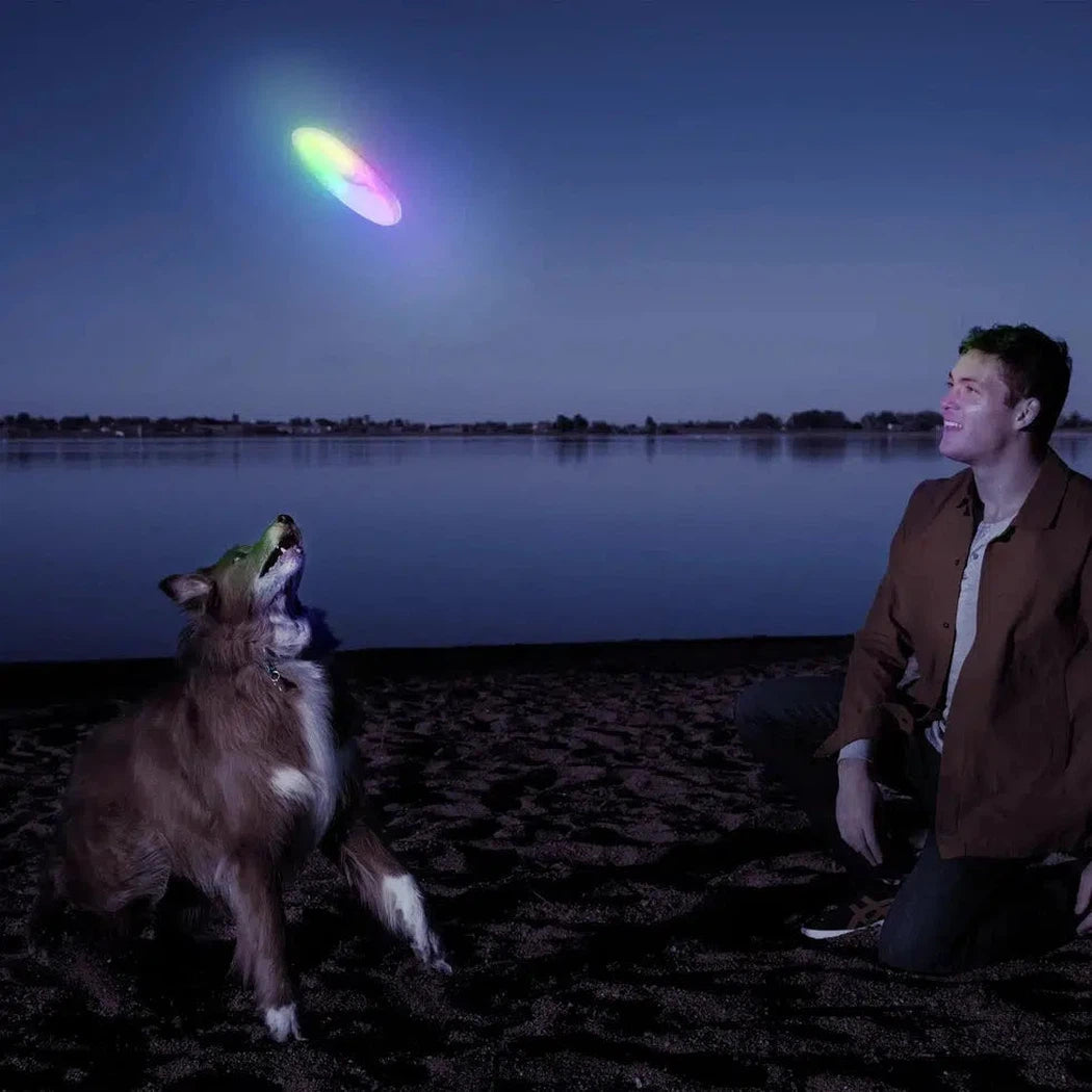 Flashflight Dog Discuit LED Flying Disc - Disc-O-Pets - Safety - Lights-Nite Ize-Appalachian Outfitters