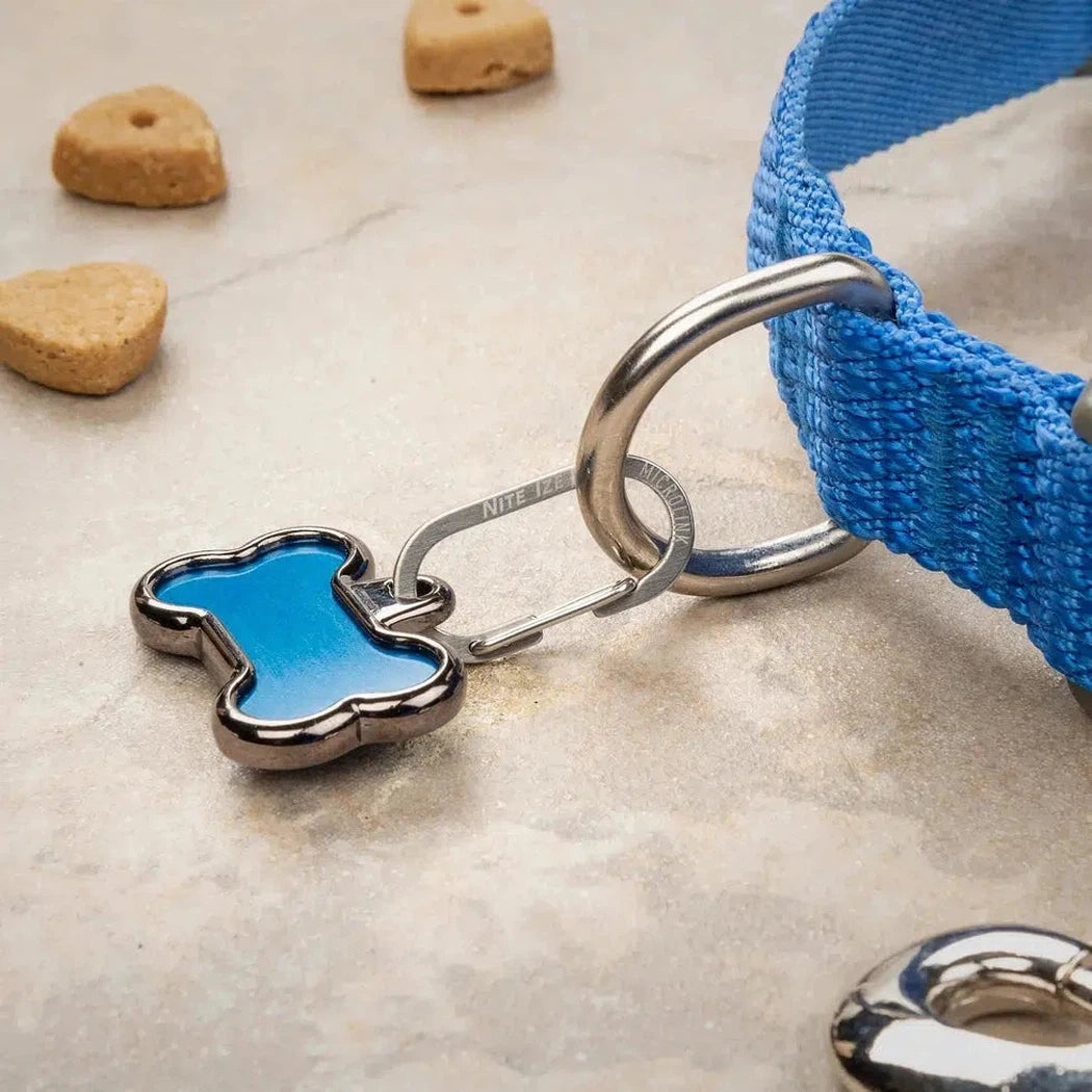 MicroLink Pet Tag Carabiner - 2 Pack-Camping - Accessories-Nite Ize-Appalachian Outfitters