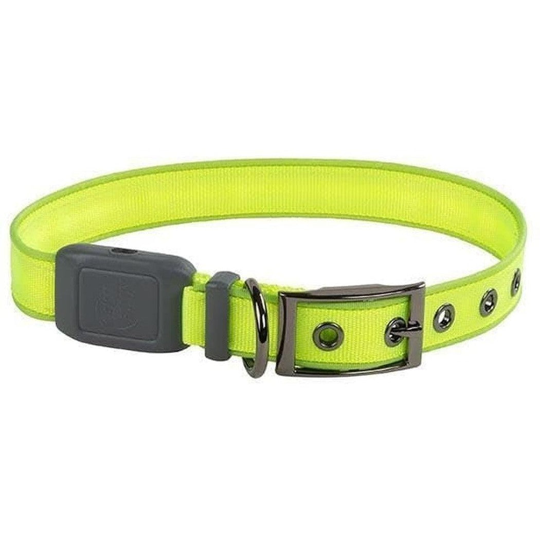 Nite Ize Nitedog Rechargeable Led Collar Lime/Green LED / S 