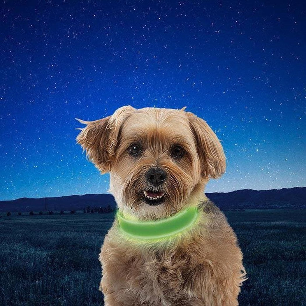 Nite Ize Nitedog Rechargeable Led Collar Outdoor Dogs