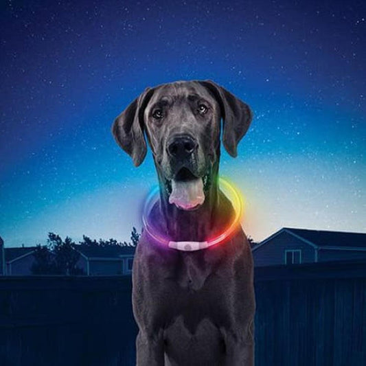 Nite Ize Nitehowl Led Safety Necklace Rechargeable Regular 