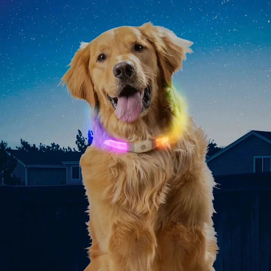 NiteHowl Max Rechargeable LED Safety Necklace - Disc-O Select-Pets - Safety - Lights-Nite Ize-Appalachian Outfitters