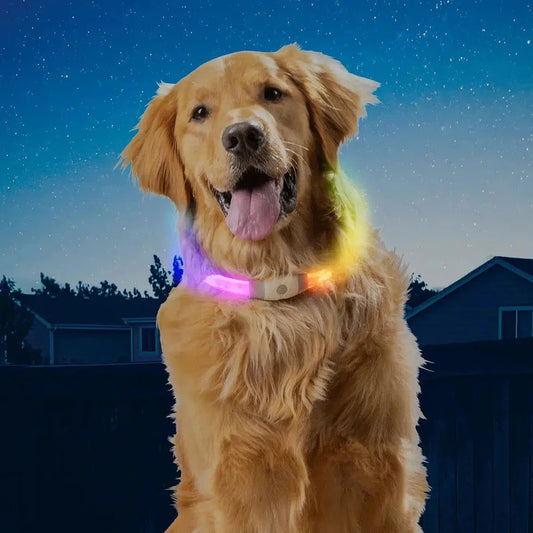 NiteHowl Max Rechargeable LED Safety Necklace - Disc-O Select-Pets - Safety - Lights-Nite Ize-Appalachian Outfitters