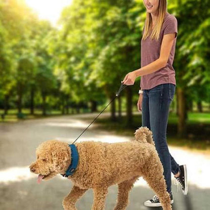 Nite Ize Raddog All-in-one Collar + Leash Outdoor Dogs