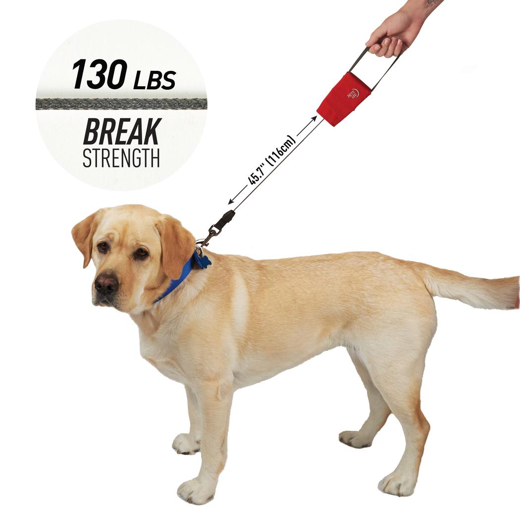 Nite Ize RadDog Retractable Pocket Leash-Pets - Safety - Lights-Nite Ize-Appalachian Outfitters