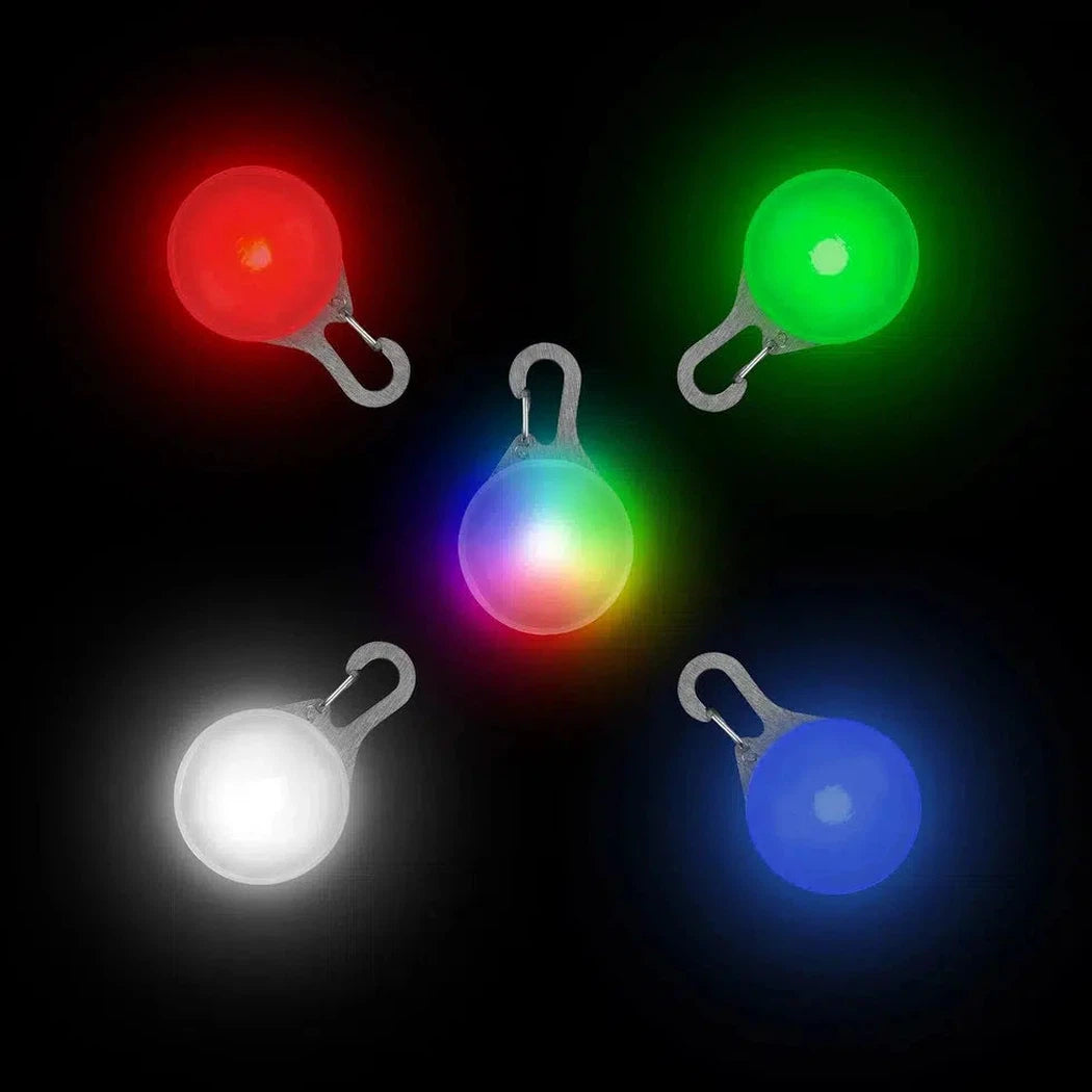 SpotLit Rechargeable Collar Light - Disc-O Tech-Pets - Safety - Lights-Nite Ize-Jewel-Appalachian Outfitters
