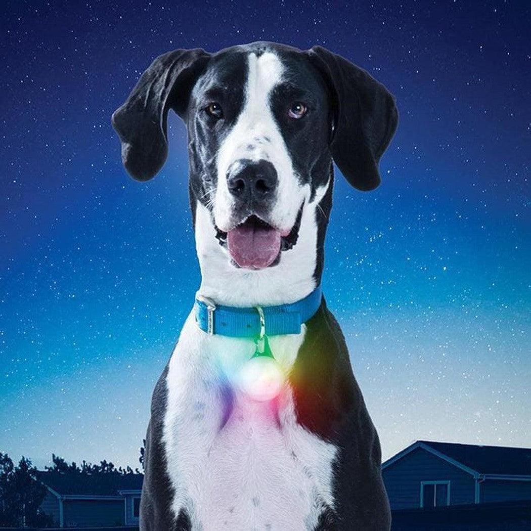 Nite Ize Spotlit Xl Rechargeable Collar Light DiscO Outdoor 