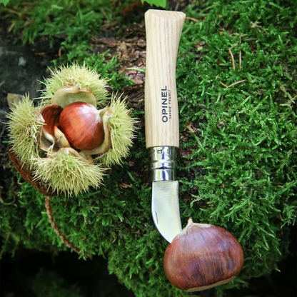 Opinel No.7 Scoring Knife-Camping - Accessories - Knives-Opinel-Appalachian Outfitters