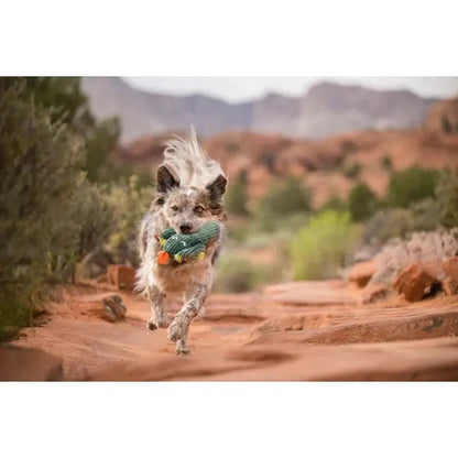 P.L.A.Y Blooming Buddies Prickly Pup Cactus-Pets - Toys-Appalachian Outfitters