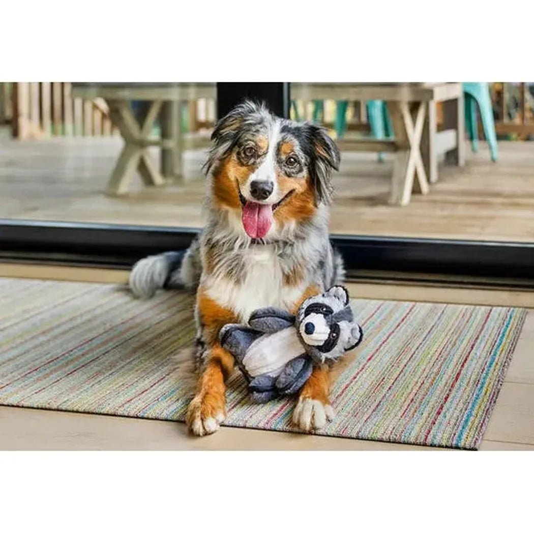 P.L.A.Y Forest Friends Robby the Raccoon-Pets - Toys-Appalachian Outfitters