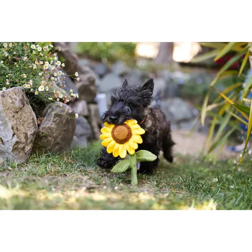 P.L.A.Y Blooming Buddies Sassy Sunflower-Pets - Toys-P.L.A.Y-Appalachian Outfitters
