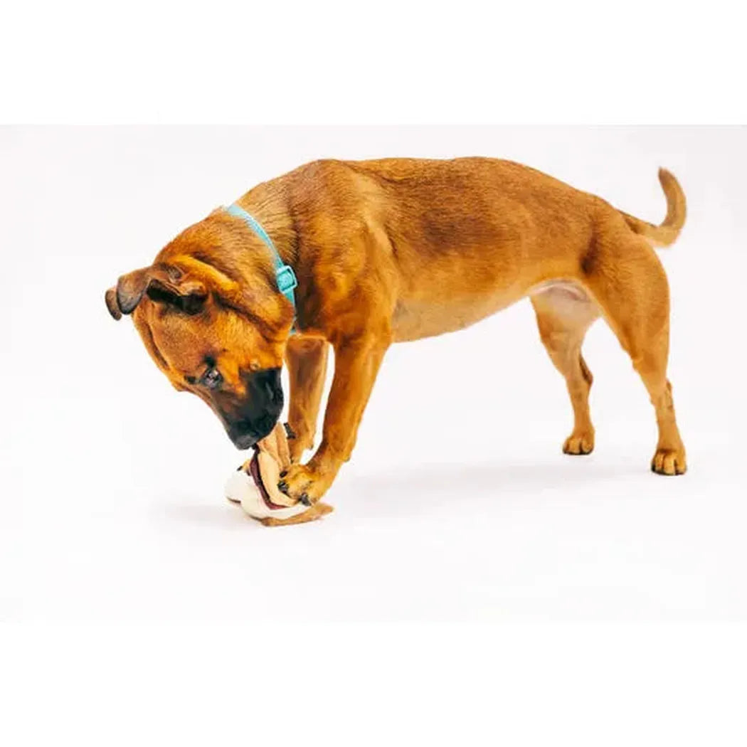 P.L.A.Y Camp Corbin Gimme S'more-Pets - Toys-P.L.A.Y-Appalachian Outfitters