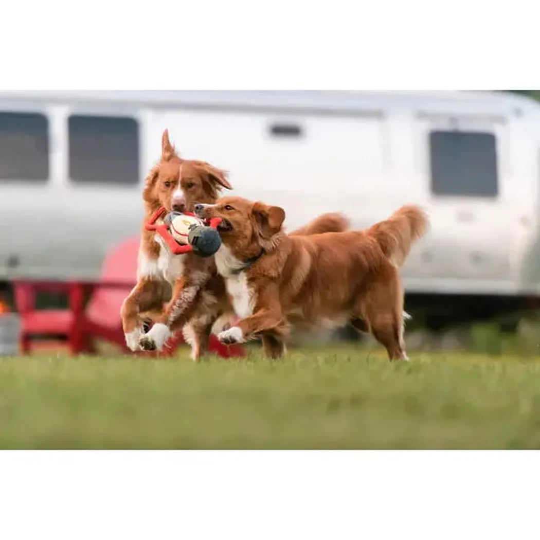 P.L.A.Y Camp Corbin Pack Leader Lantern-Pets - Toys-P.L.A.Y-Appalachian Outfitters