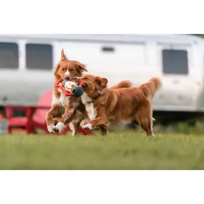 P.L.A.Y Camp Corbin Pack Leader Lantern-Pets - Toys-P.L.A.Y-Appalachian Outfitters