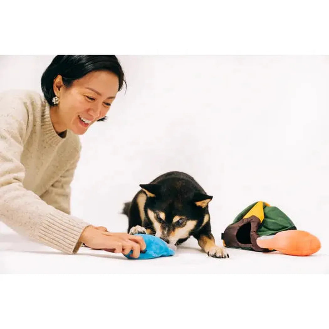 P.L.A.Y Camp Corbin Trailblazing Tent-Pets - Toys-P.L.A.Y-Appalachian Outfitters
