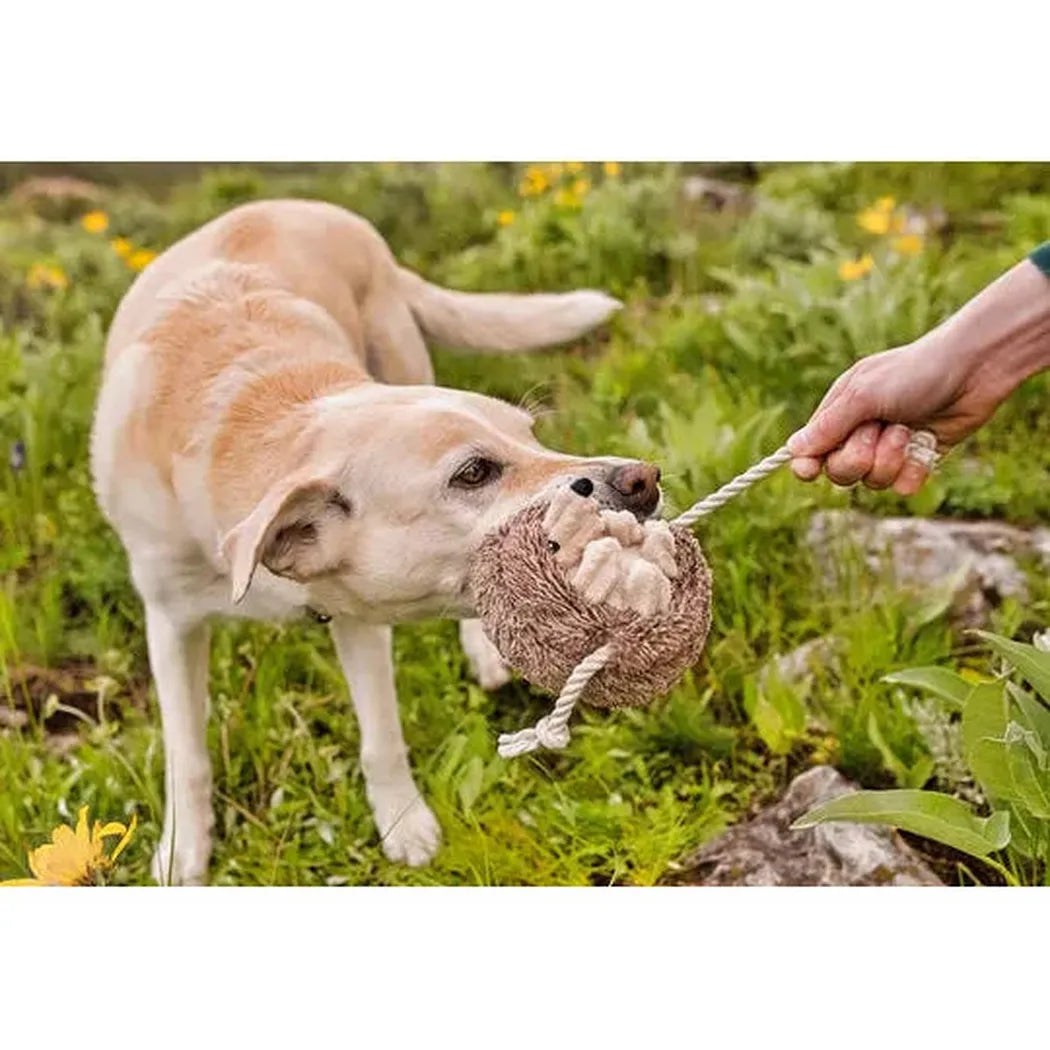 P.L.A.Y Forest Friends Hamilton the Hedgehog-Pets - Toys-P.L.A.Y-Appalachian Outfitters