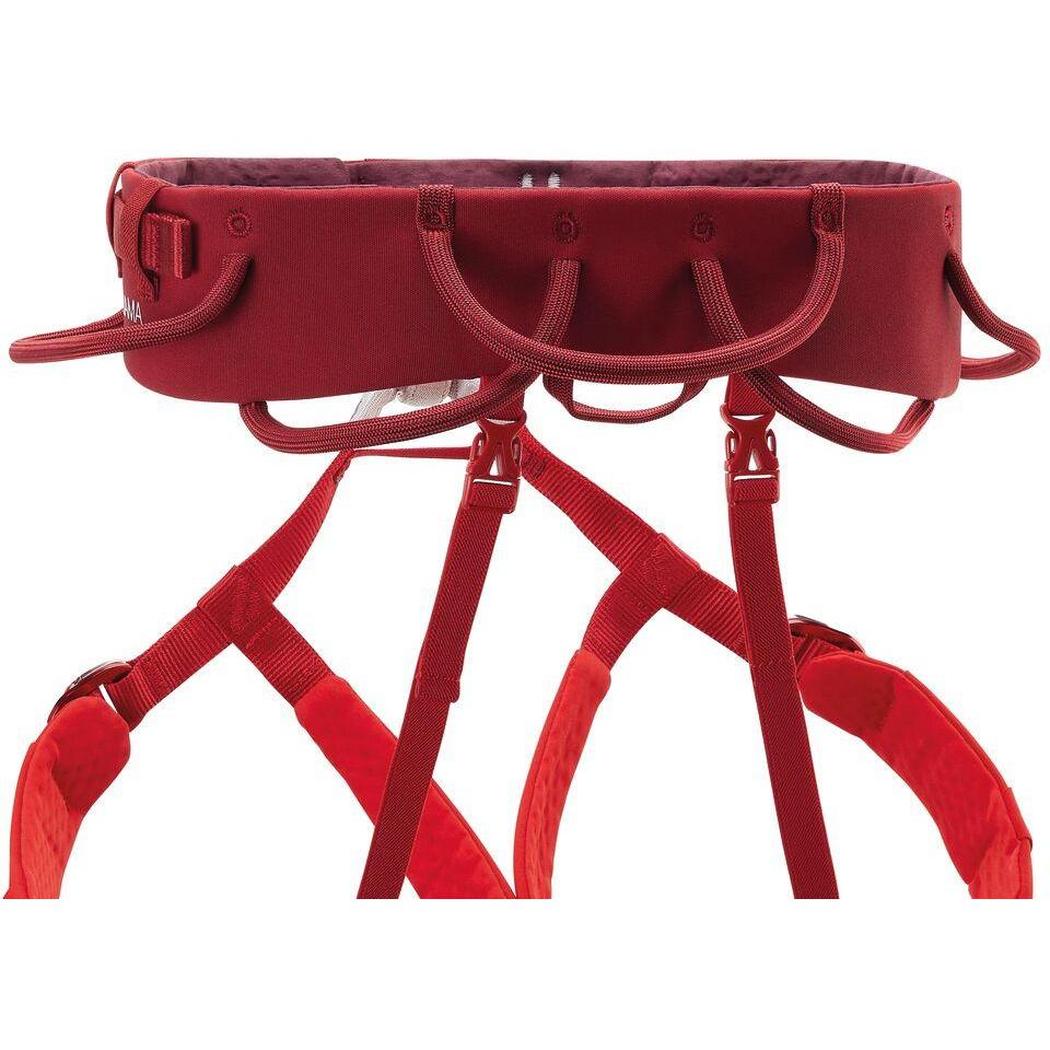Petzl Adjama-Climbing - Harnesses - Men's-Petzl-Appalachian Outfitters