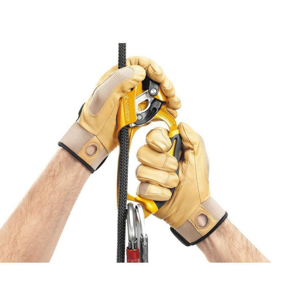 Petzl-Ascension Right-Appalachian Outfitters