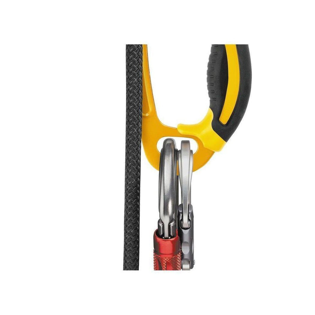 Petzl-Ascension Right-Appalachian Outfitters