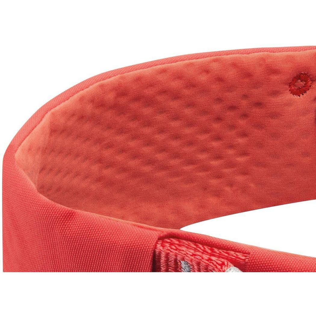Petzl Luna-Climbing - Harnesses - Women's-Petzl-Appalachian Outfitters