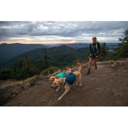 Ruffwear Front Range Day Pack-Pets - Packs-Appalachian Outfitters