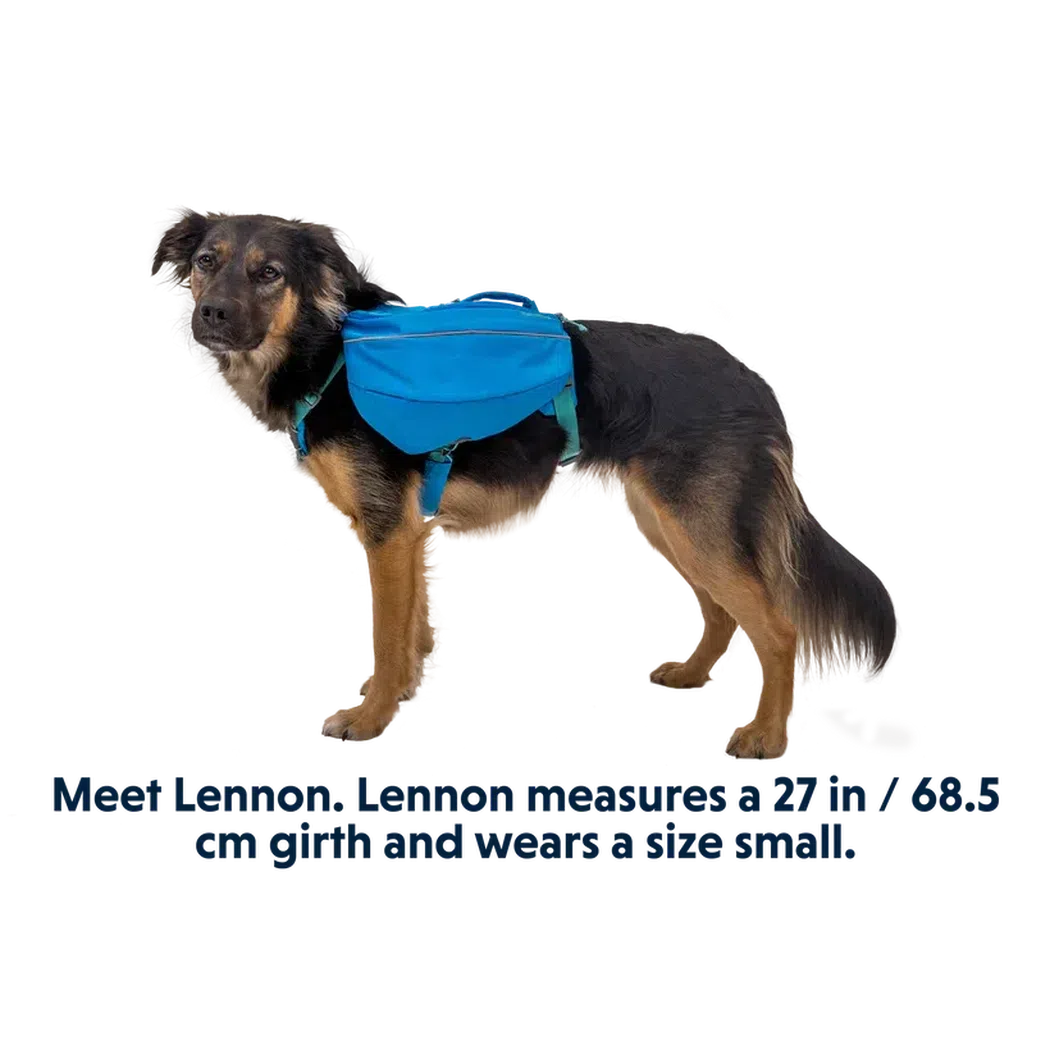 Ruffwear Approach Pack-Pets - Packs-Ruffwear-Appalachian Outfitters