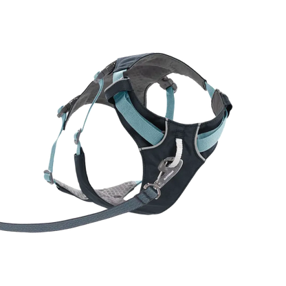 Ruffwear Flagline Dog Harness With Handle-Pets - Harnesses-Ruffwear-Appalachian Outfitters
