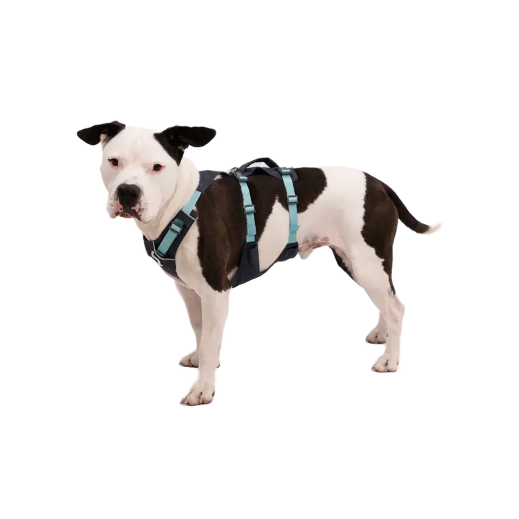 Ruffwear Flagline Dog Harness With Handle-Pets - Harnesses-Ruffwear-Appalachian Outfitters