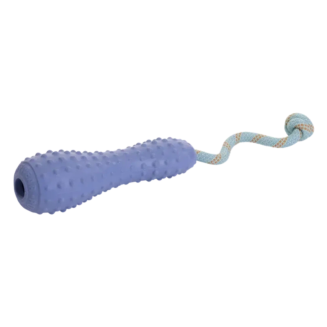 Ruffwear Gourdo Toy-Pets - Leashes-Ruffwear-Heliotrope Purple-Small-Appalachian Outfitters