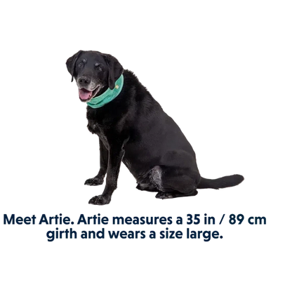 Ruffwear Swamp Cooler Neck Gaiter-Pets - Collars-Ruffwear-Appalachian Outfitters
