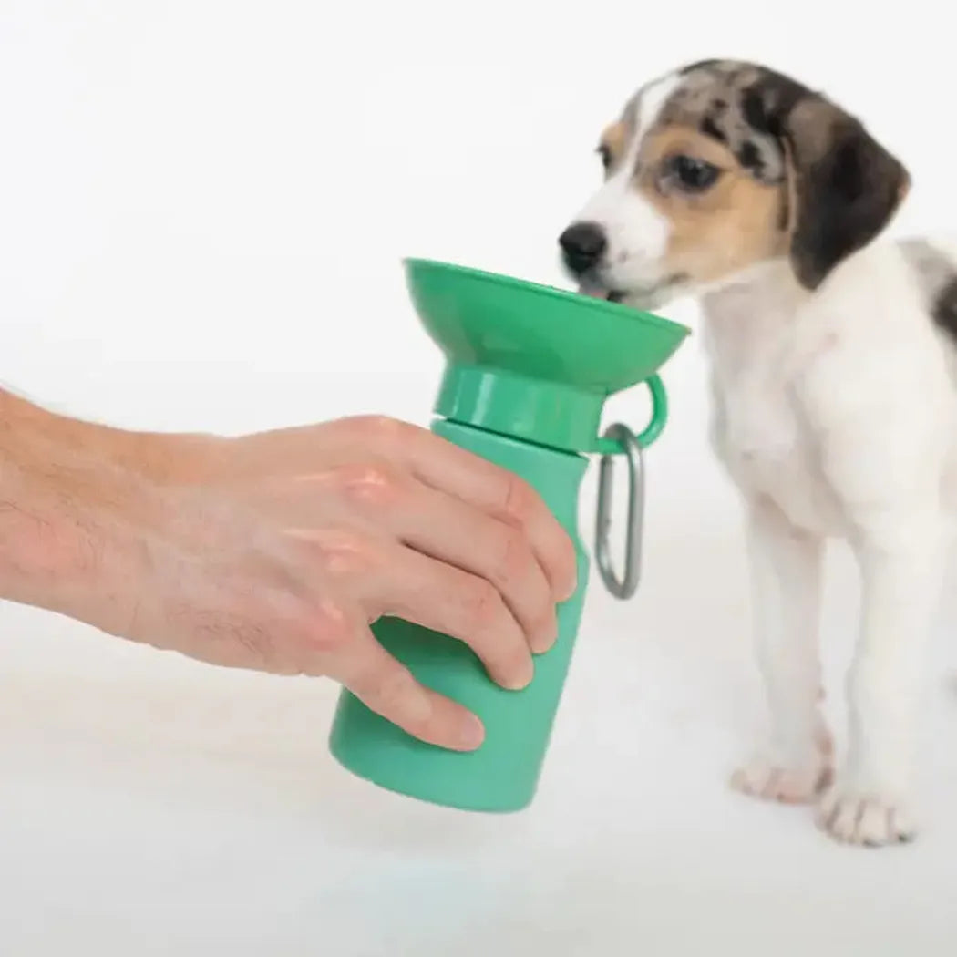 Springer Dog Travel Water Bottle - 15oz Mini-Pets - Bowls-Springer-Appalachian Outfitters