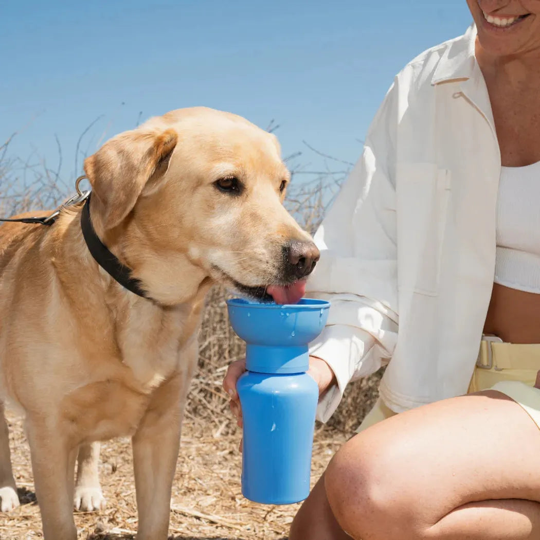 Springer Flip Dog Travel Bottle-Pets - Bowls-Springer-Appalachian Outfitters