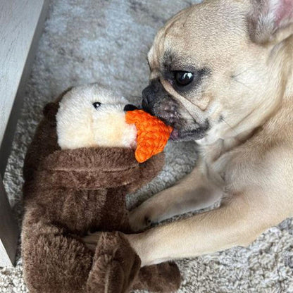 A French bulldog plays with the Tall Tails Rope Body Otter 13" toy on a carpeted floor.