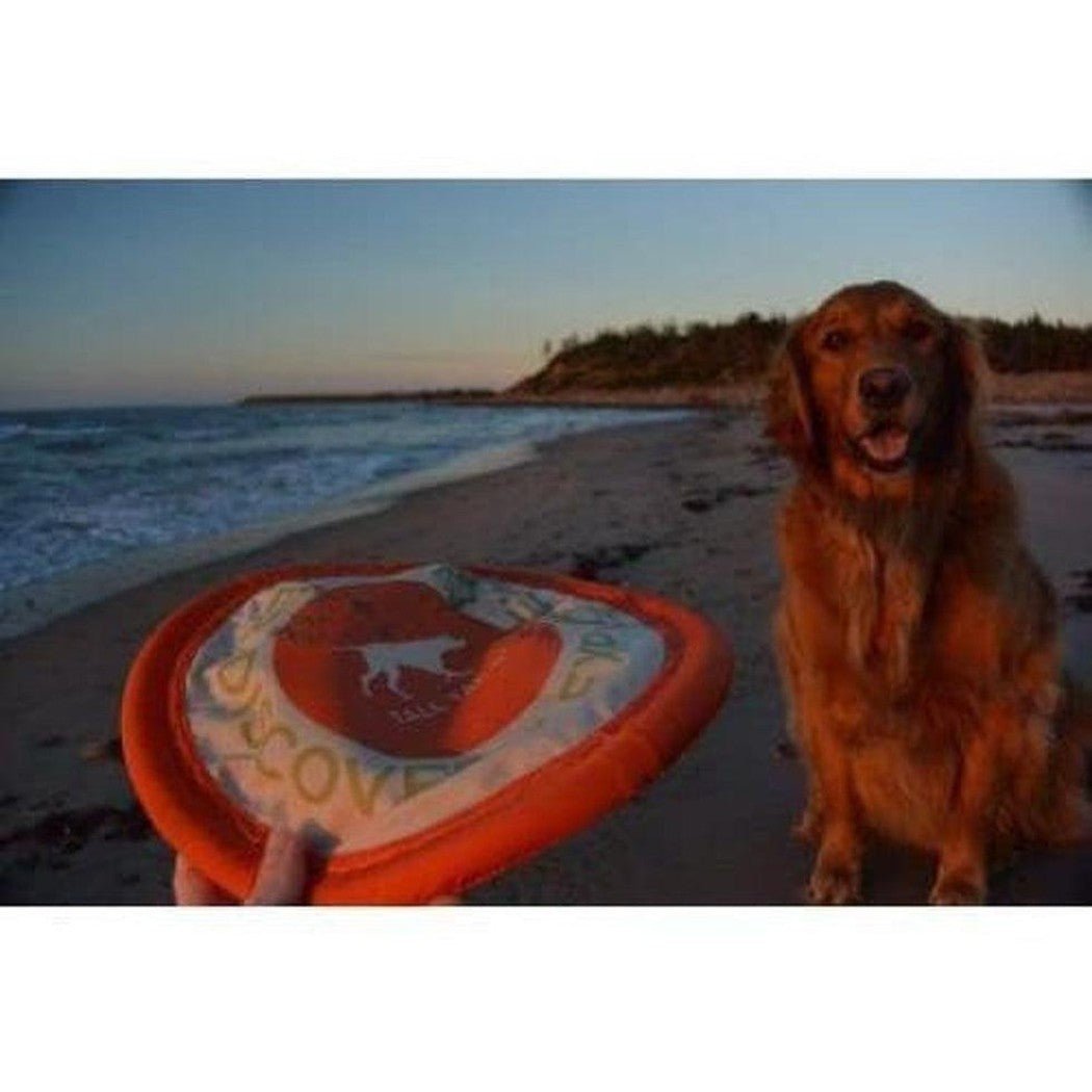 Tall Tails Soft Flying Disc-Pets - Toys-Appalachian Outfitters