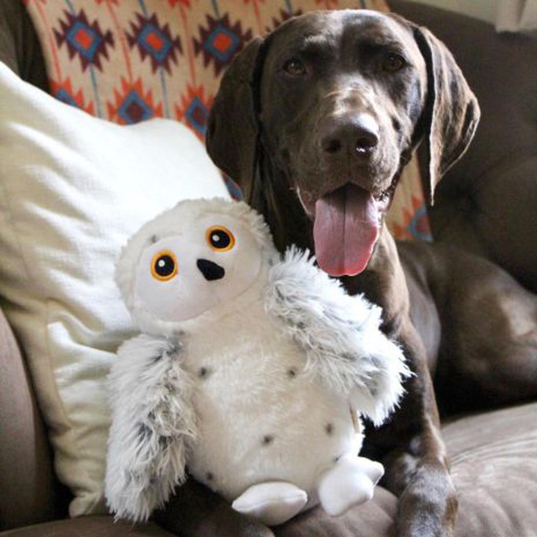 Tall Tails Animated Snow Owl Toy-Pets - Toys-Tall Tails-Appalachian Outfitters