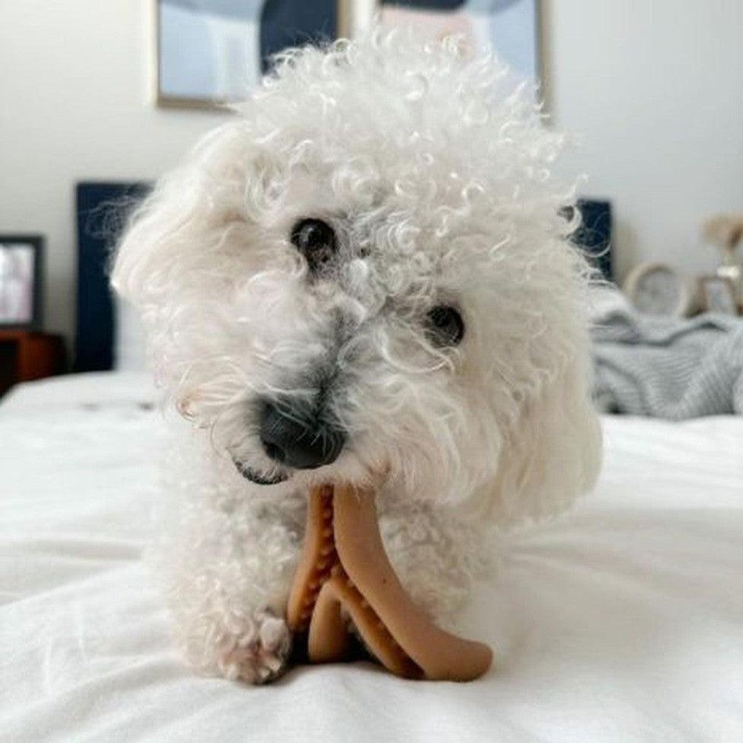 Tall Tails Antler Chew-Pets - Toys-Tall Tails-Appalachian Outfitters
